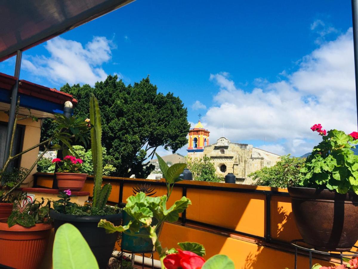 Hotel Cazomalli Oaxaca Exterior photo